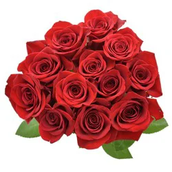 Bouque Red Roses Consumer Bunch