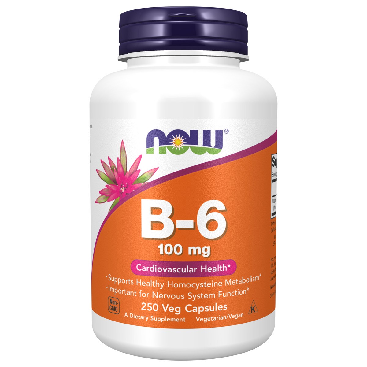 slide 1 of 4, NOW Vitamin B-6 100 mg - 250 Veg Capsules, 250 ct