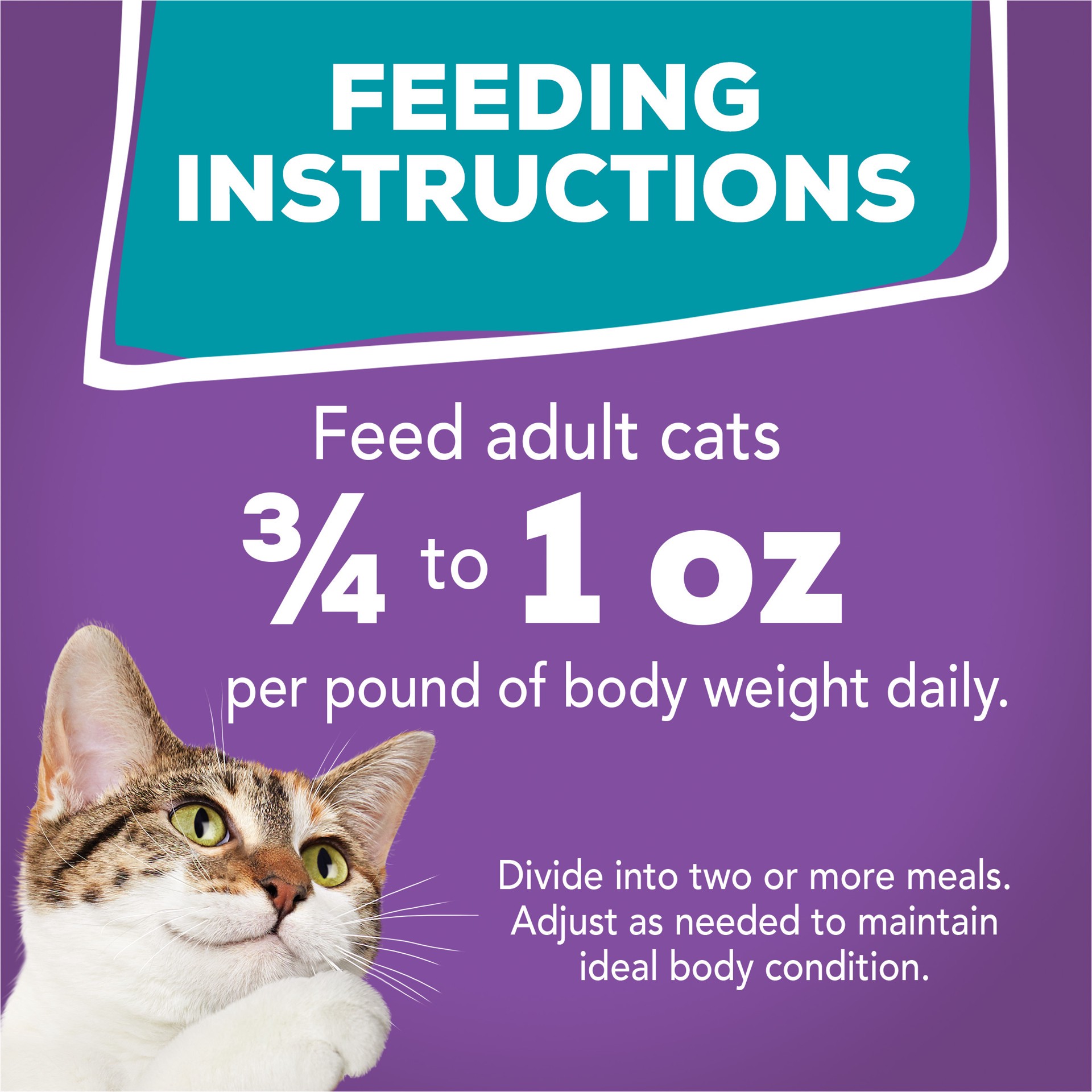 slide 6 of 7, Purina Friskies Pate Wet Cat Food, Tasty Treasures With Liver, Turkey & Chicken - 5.5 oz. Can, 5.5 oz