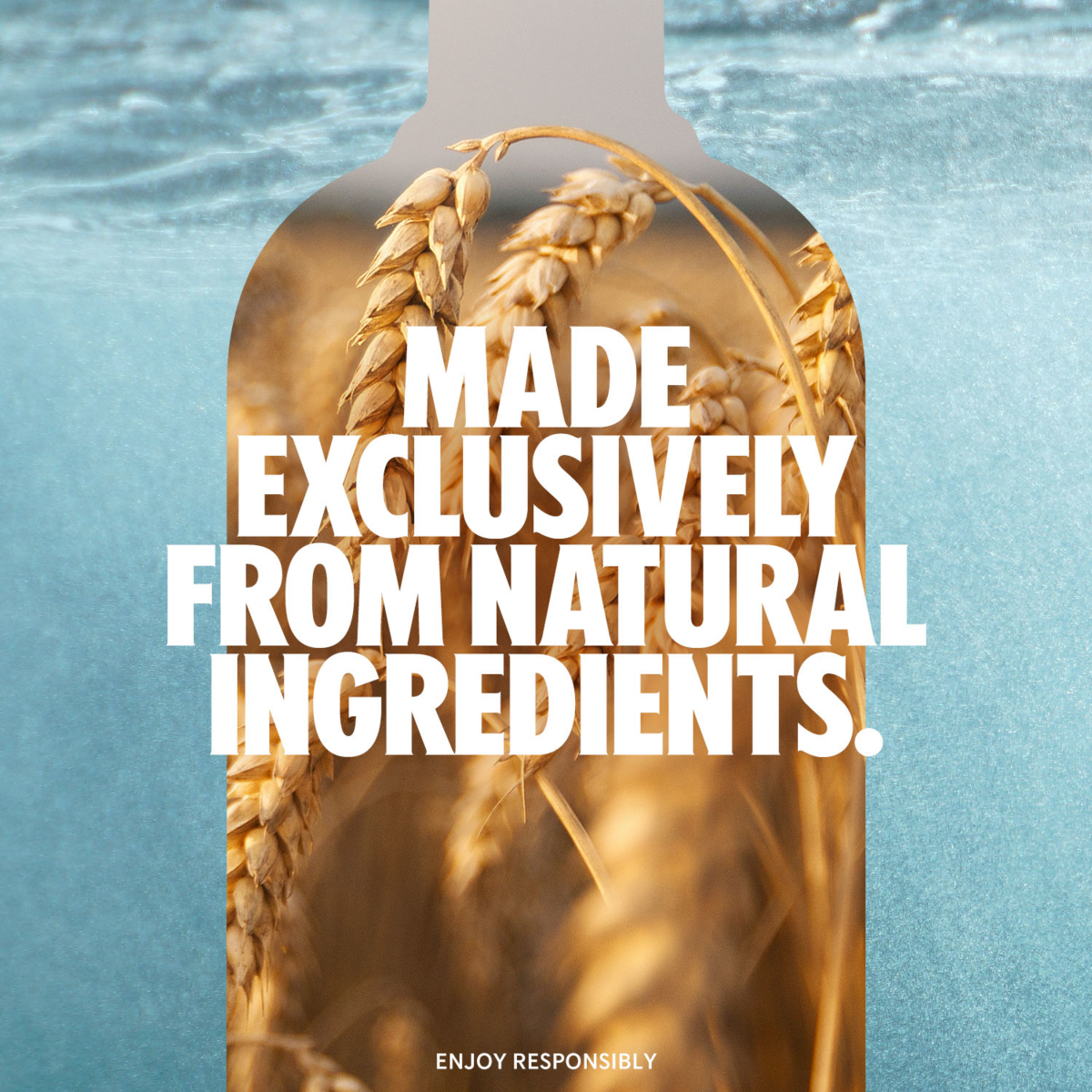 slide 19 of 25, Absolut Citron Vodka, 375 ml