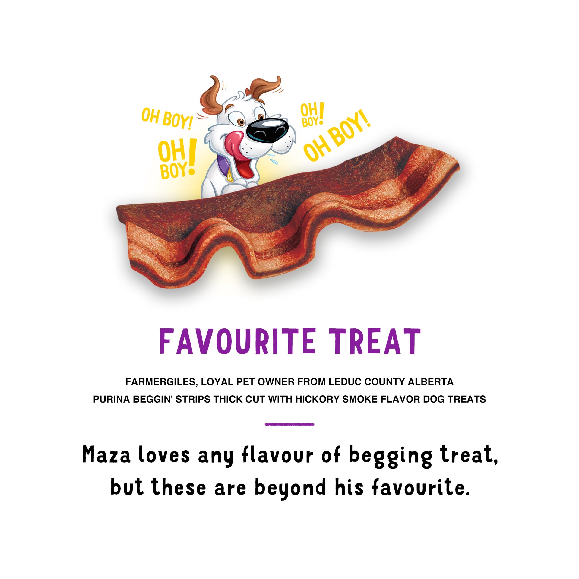 slide 2 of 9, Beggin' Purina Beggin' Strips With Real Meat Dog Treats, Thick Cut Hickory Smoke Flavor, 6 oz