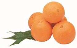Fresh Navel Oranges