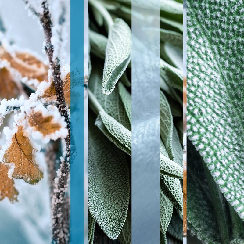 slide 10 of 12, Glade Candle Lto First Fr, 6.8 oz