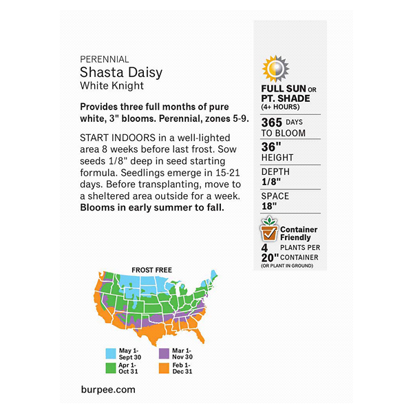 slide 3 of 5, Burpee Shasta Daisy White Knight Seeds, 1 ct