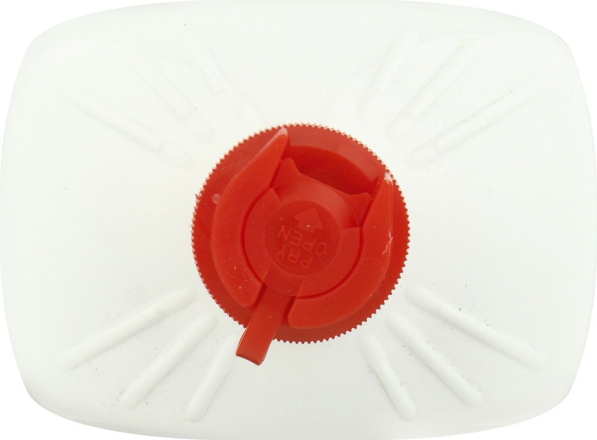 slide 8 of 9, Life Goods Charcoal Odorless Lighter Fluid 32 oz, 32 oz