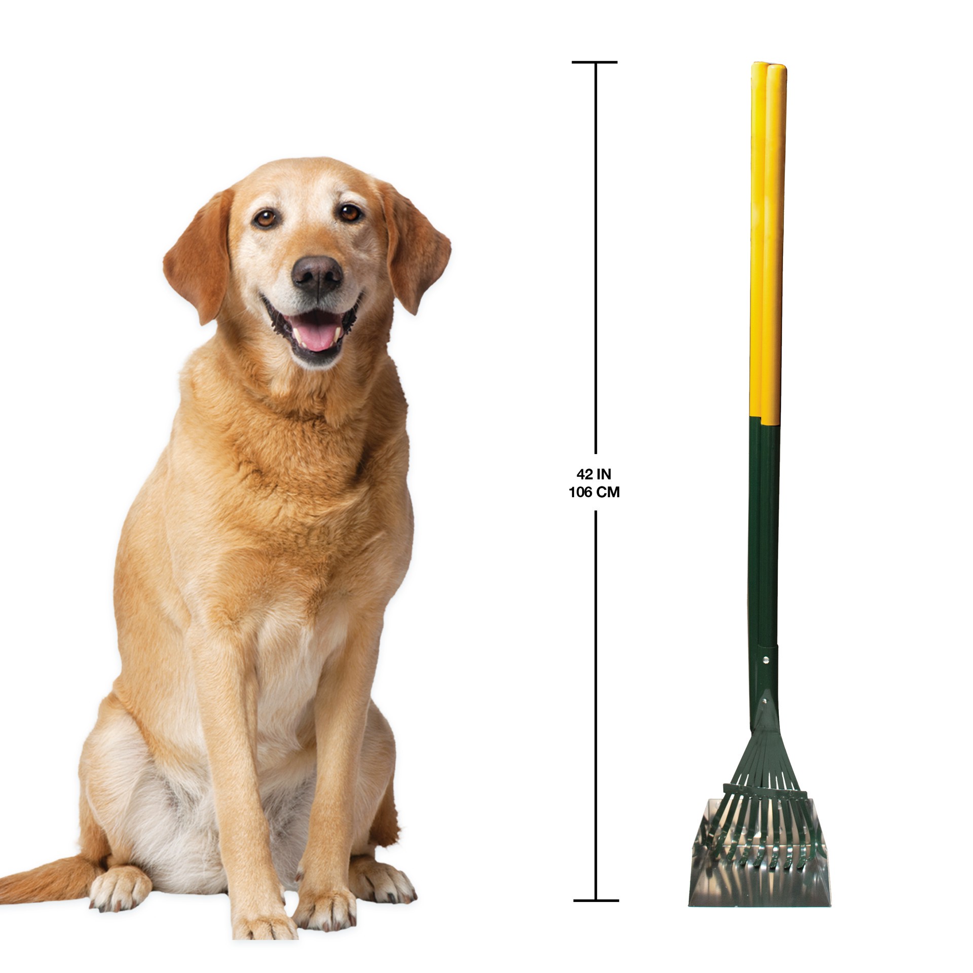 slide 3 of 6, Four Paws Dog Rake & Scooper Set for Pet Waste Pick-up Rake & Pan Set, 1 ct