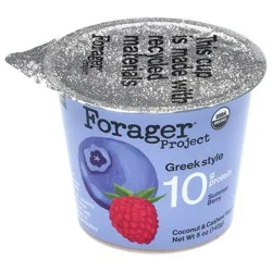 Forager Project Greek Style Summer Berry Coconut & Cashew Yogurt 5 oz