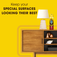 slide 11 of 22, Pledge Wood Oil, Expert Care™, Aerosol, Amber & Argan Scent, 9.7 oz., 9.7 oz