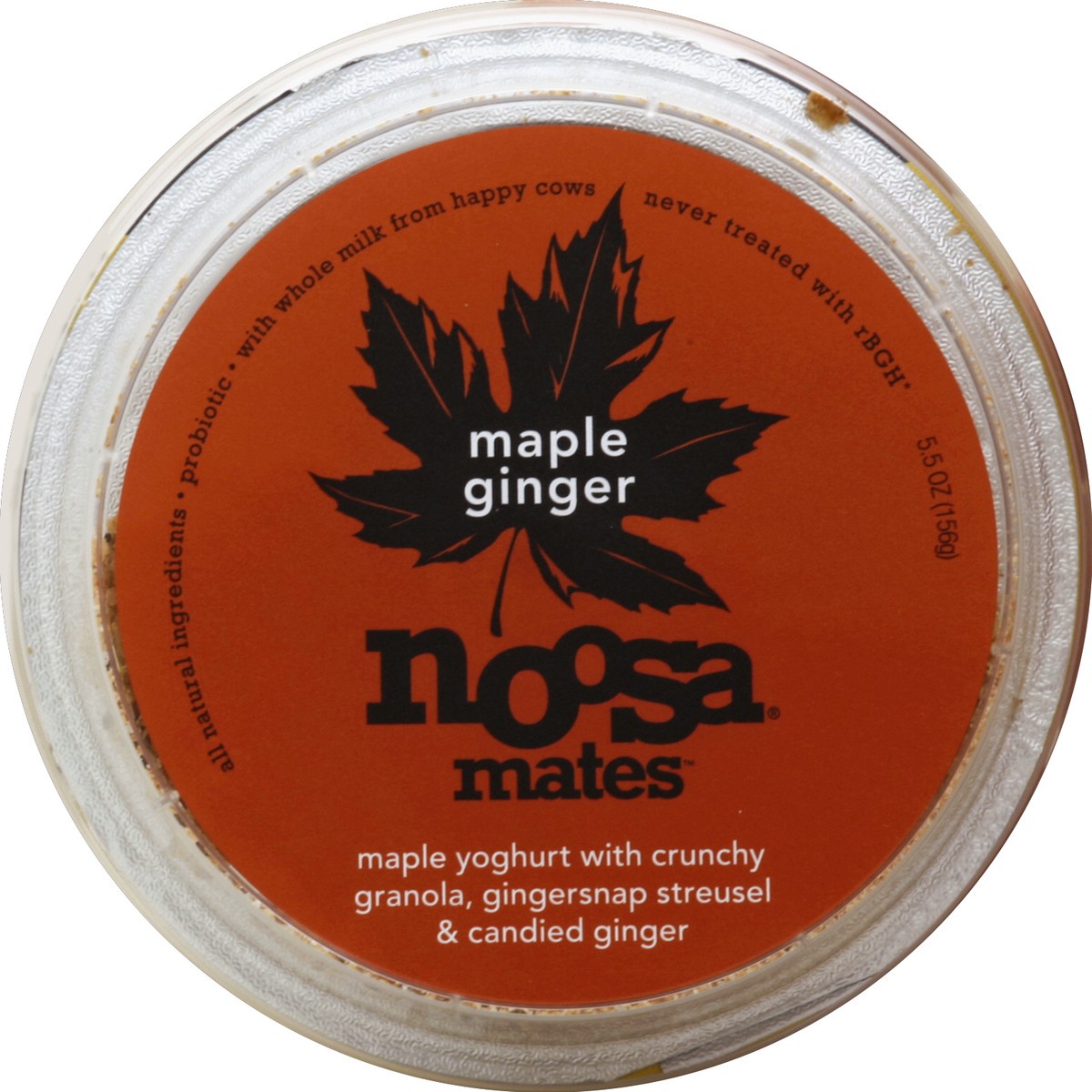 slide 2 of 3, Noosa Mates Maple Ginger Finest Yogurt And Crunchies, 5.5 oz