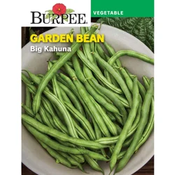 Burpee Big Kahuna Bean Seeds - Green