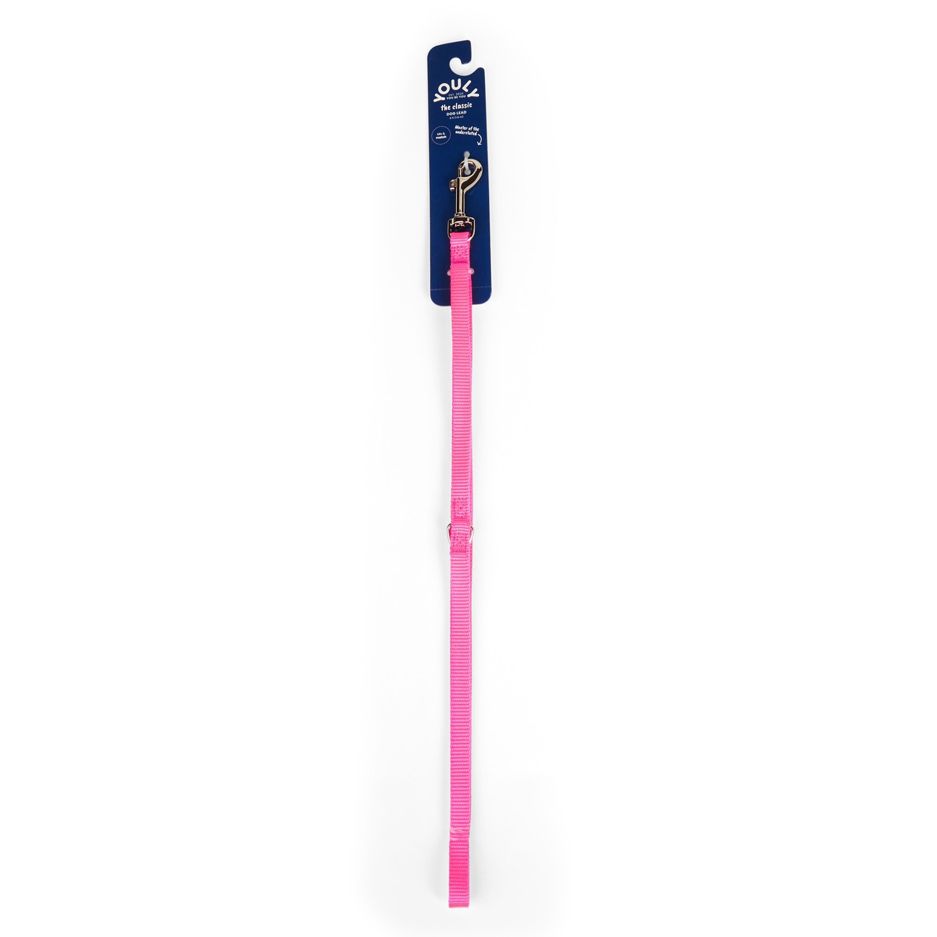 slide 1 of 1, YOULY Pink Dog Lead, 6 ft., X-Small, 1 ct