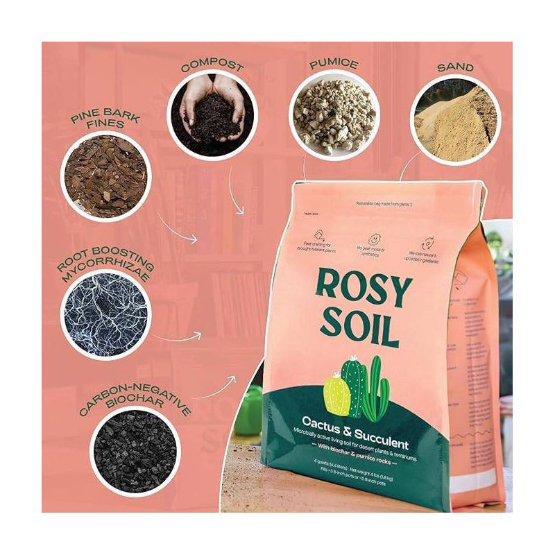 slide 7 of 8, Rosy Soil Cactus & Succulent Soil Mix, 4 lb