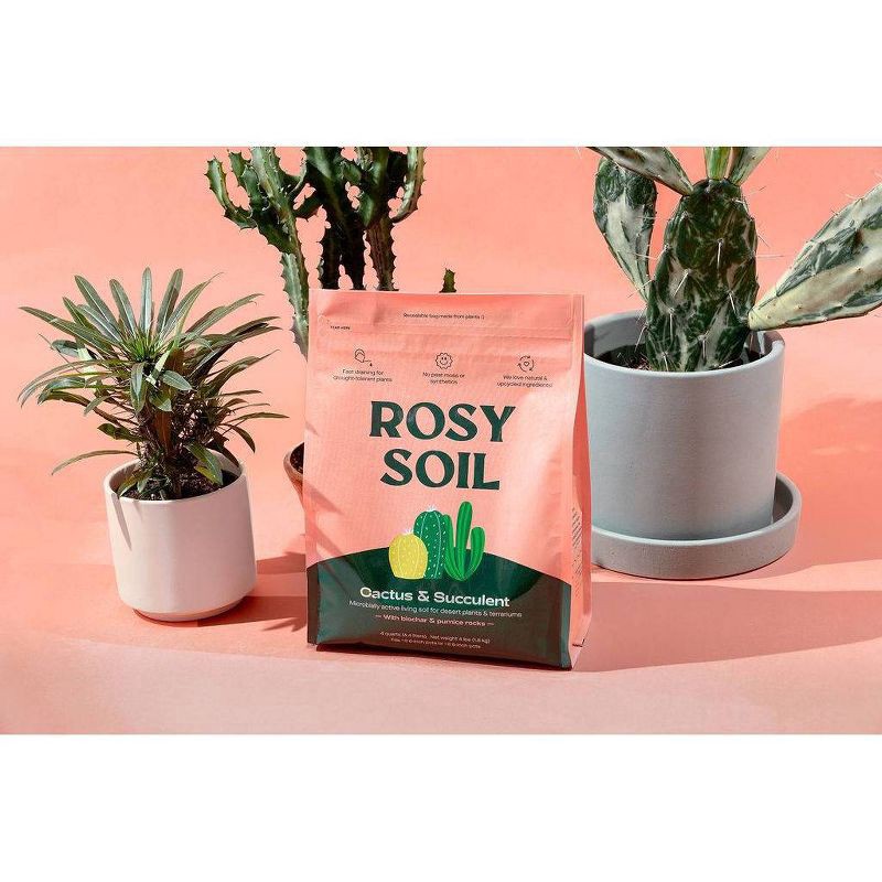 slide 3 of 8, Rosy Soil Cactus & Succulent Soil Mix, 4 lb