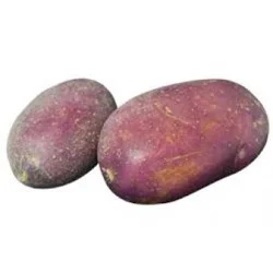 Purple Potatoes Bulk