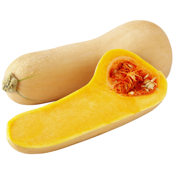 slide 1 of 1, Butternut Squash, 1 ct