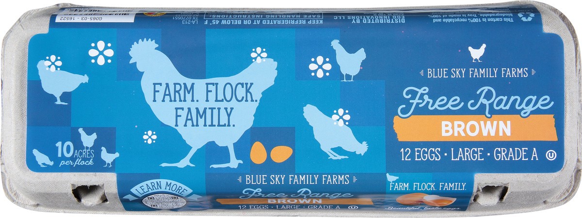 slide 6 of 10, Blue Sky Family Farms Free Range Brown Eggs Large 12 ea, 12 ct