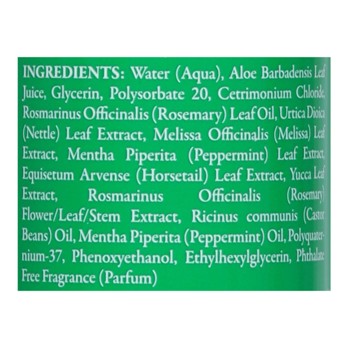 slide 10 of 13, Camille Rose Rosemary Water Daily Strengthening Mist 8 fl oz, 8 oz