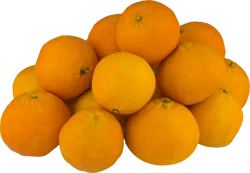 Wonderful Halos Mandarin Oranges