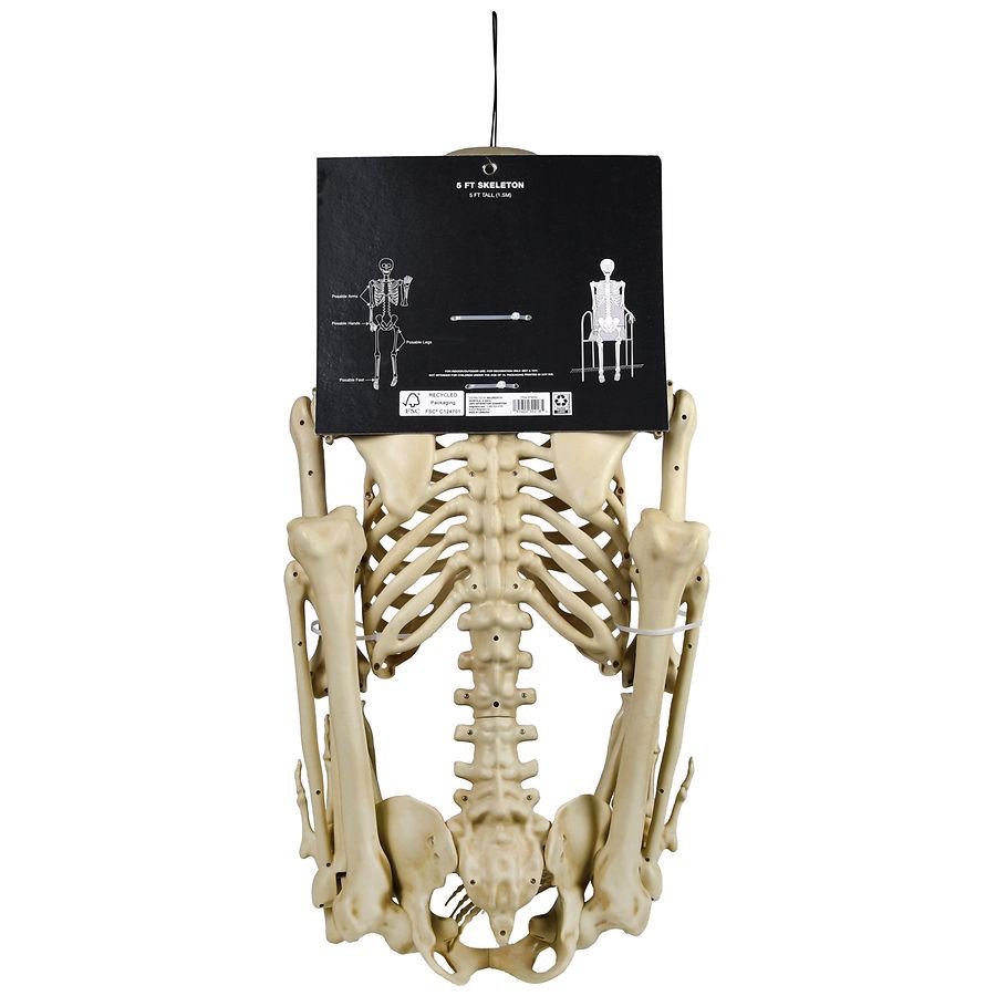 slide 3 of 5, Happy Halloween Skeleton 5 ft, 1 ct