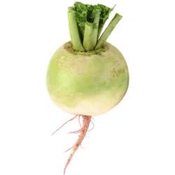 Watermelon Radish
