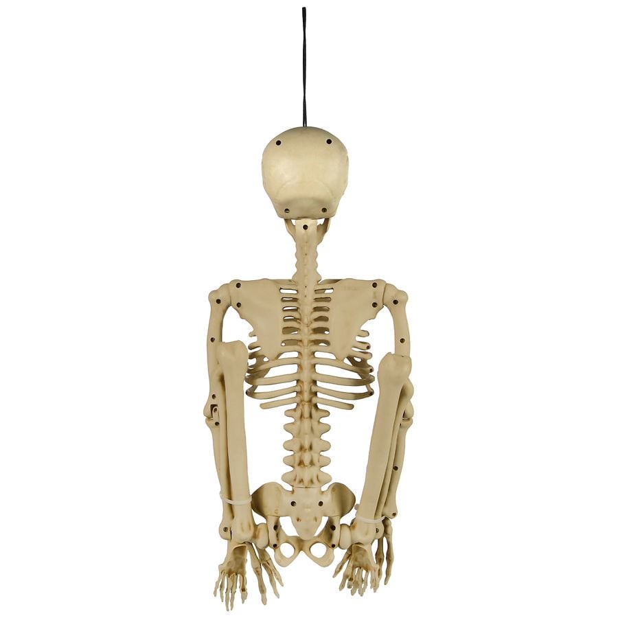 slide 4 of 4, Happy Halloween Skeleton 3 ft, 1 ct