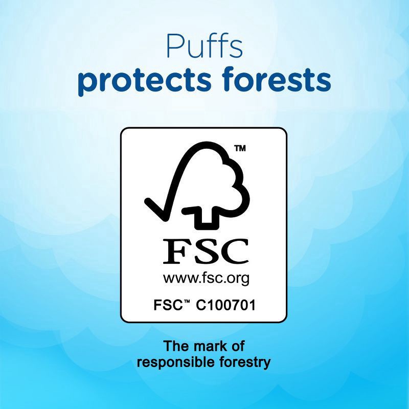 slide 6 of 16, Puffs Plus Family, 2 ct