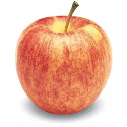 Gala Apples