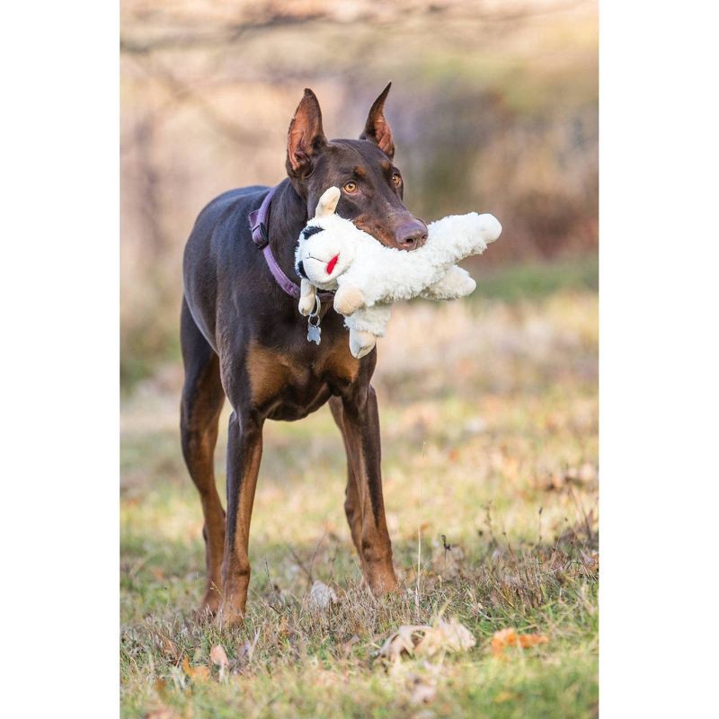 slide 3 of 3, Multipet Lamb Chop Dog Toy, 10.5 in