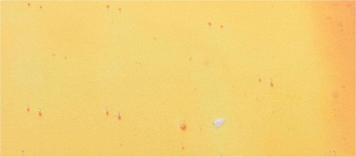 slide 3 of 14, Tio Nachito Royal Baby Royal Jelly + Chamomile Shampoo 13.5 fl oz, 13.5 fl oz