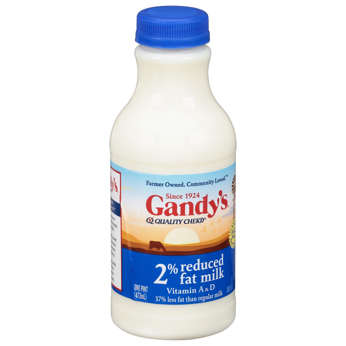 slide 7 of 9, Gandy's 2% Reduced Fat Milk 1 Pint, 1 pint