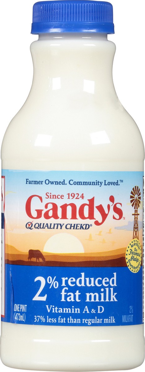 slide 1 of 9, Gandy's 2% Reduced Fat Milk 1 Pint, 1 pint