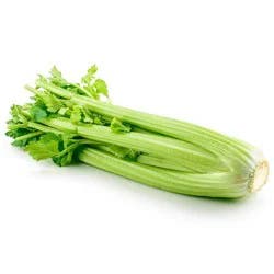 Celery