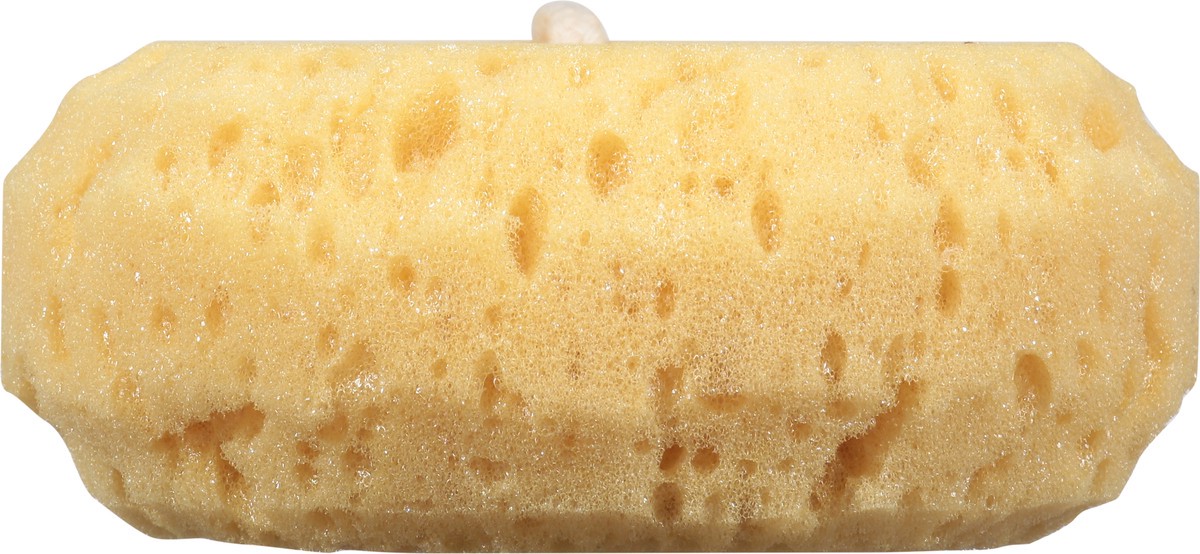 slide 3 of 12, Pure Body Sea Foam Bath Sponge 1 ea, 1 ea
