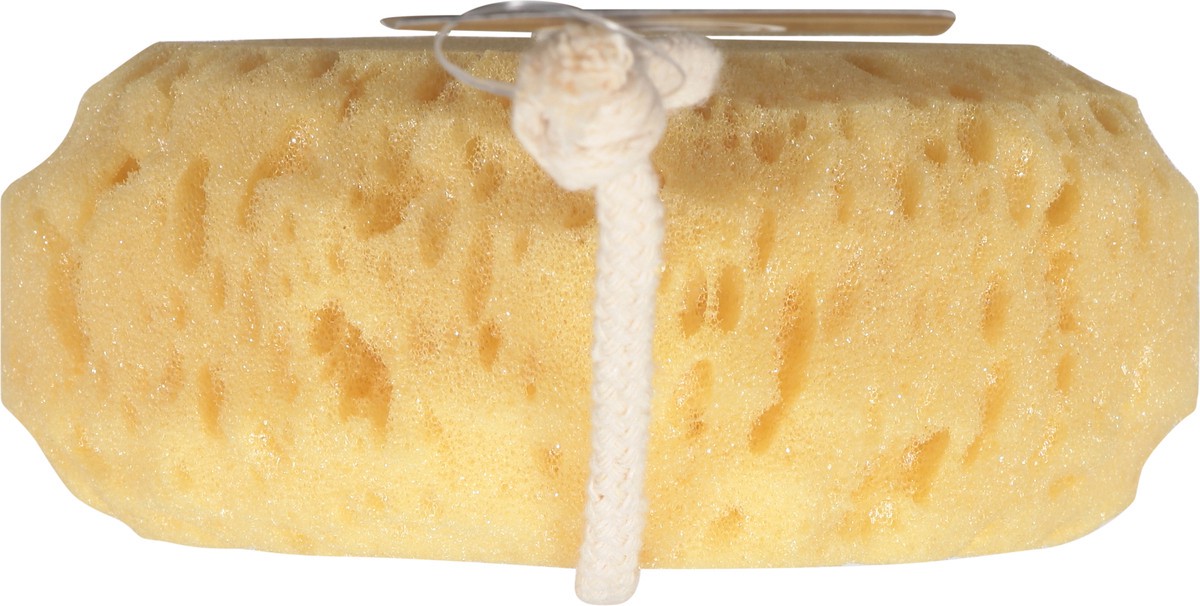 slide 7 of 12, Pure Body Sea Foam Bath Sponge 1 ea, 1 ea