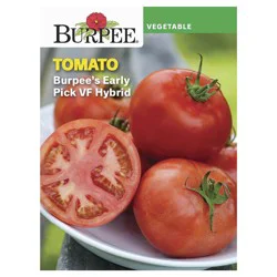 Burpee Early Pick Vf Hybrid Tomato