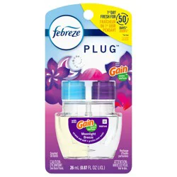 Febreze Plug In Air Freshener, Odor-Fighting Scented Oil Refill, Gain Moonlight Breeze, 1 Refills