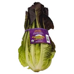 Organic Red Romaine Lettuce