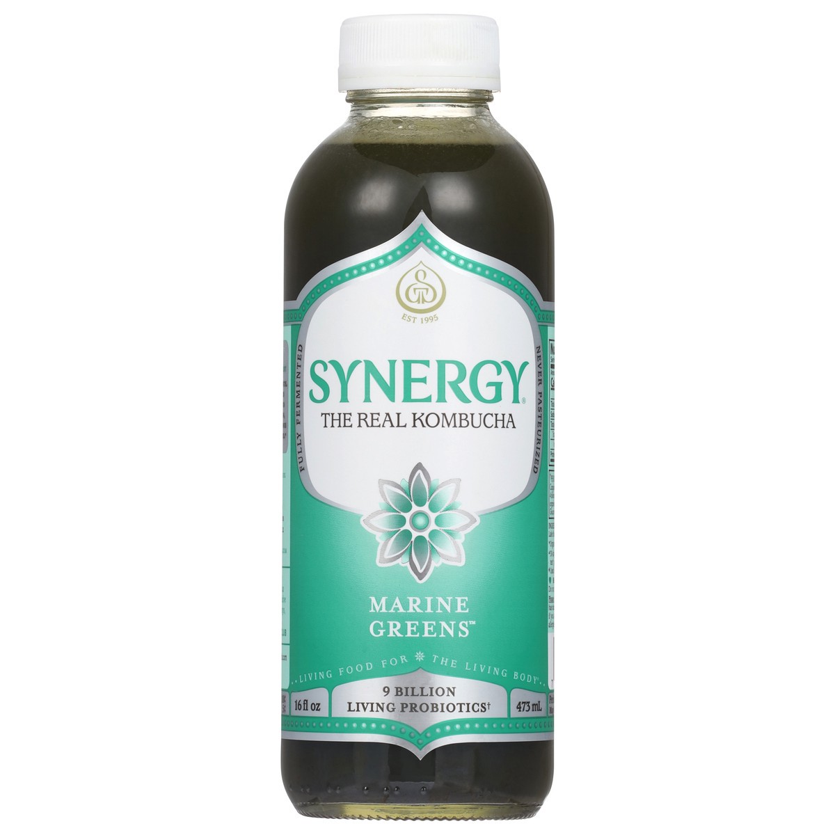 slide 1 of 11, GT's Marine Greens Kombucha 16 fl oz, 16 oz