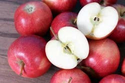Spartan Fresh Selections Apples Mcintosh Prepacked - 3 LB