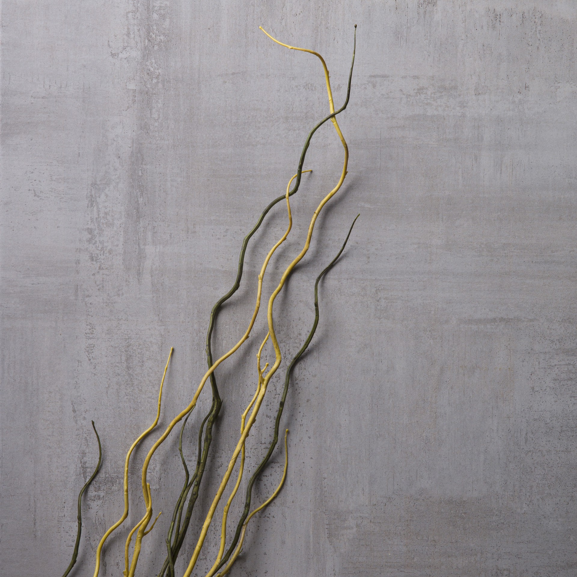 slide 3 of 4, Tropical Twig Branch By Ashland, 48 in