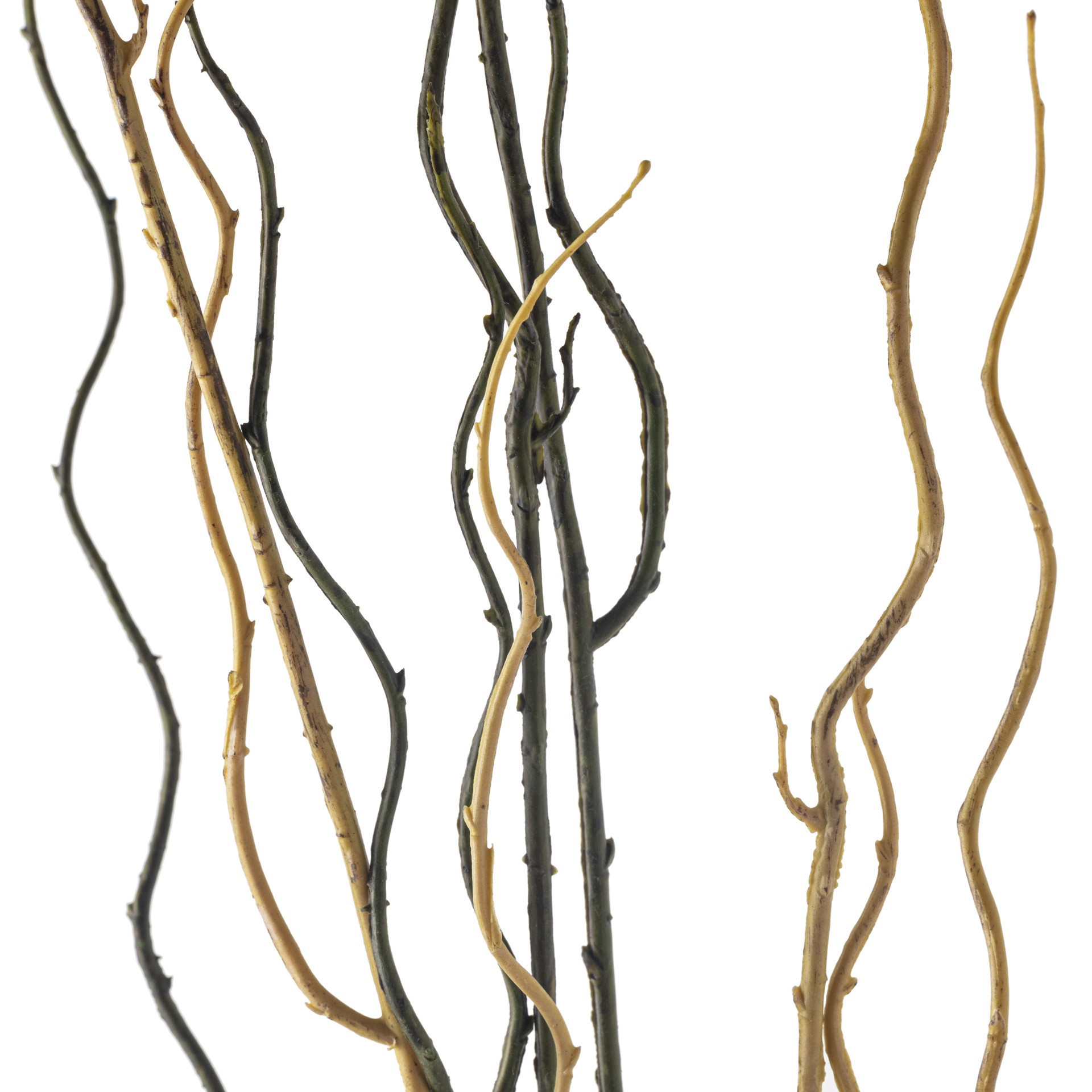 slide 2 of 4, Tropical Twig Branch By Ashland, 48 in