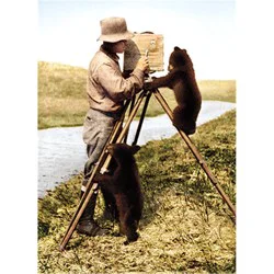 Avanti Press Camera Man And Bears