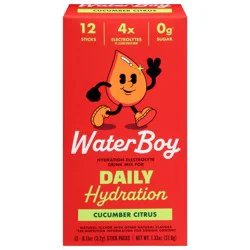 Water Boy Daily Hydration Cucumber Citrus Electrolyte Drink Mix - 12 x 0.11 oz Stick Packs