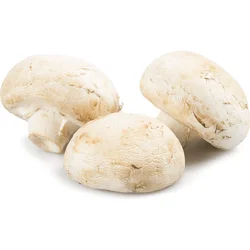 Giorgio Mushroom Baby Button