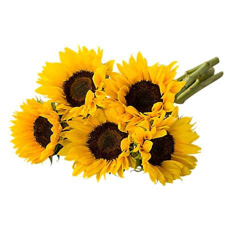 slide 1 of 1, Sunflower Bouquet, 5 ct