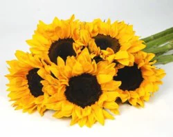 Sunflower Bouquet
