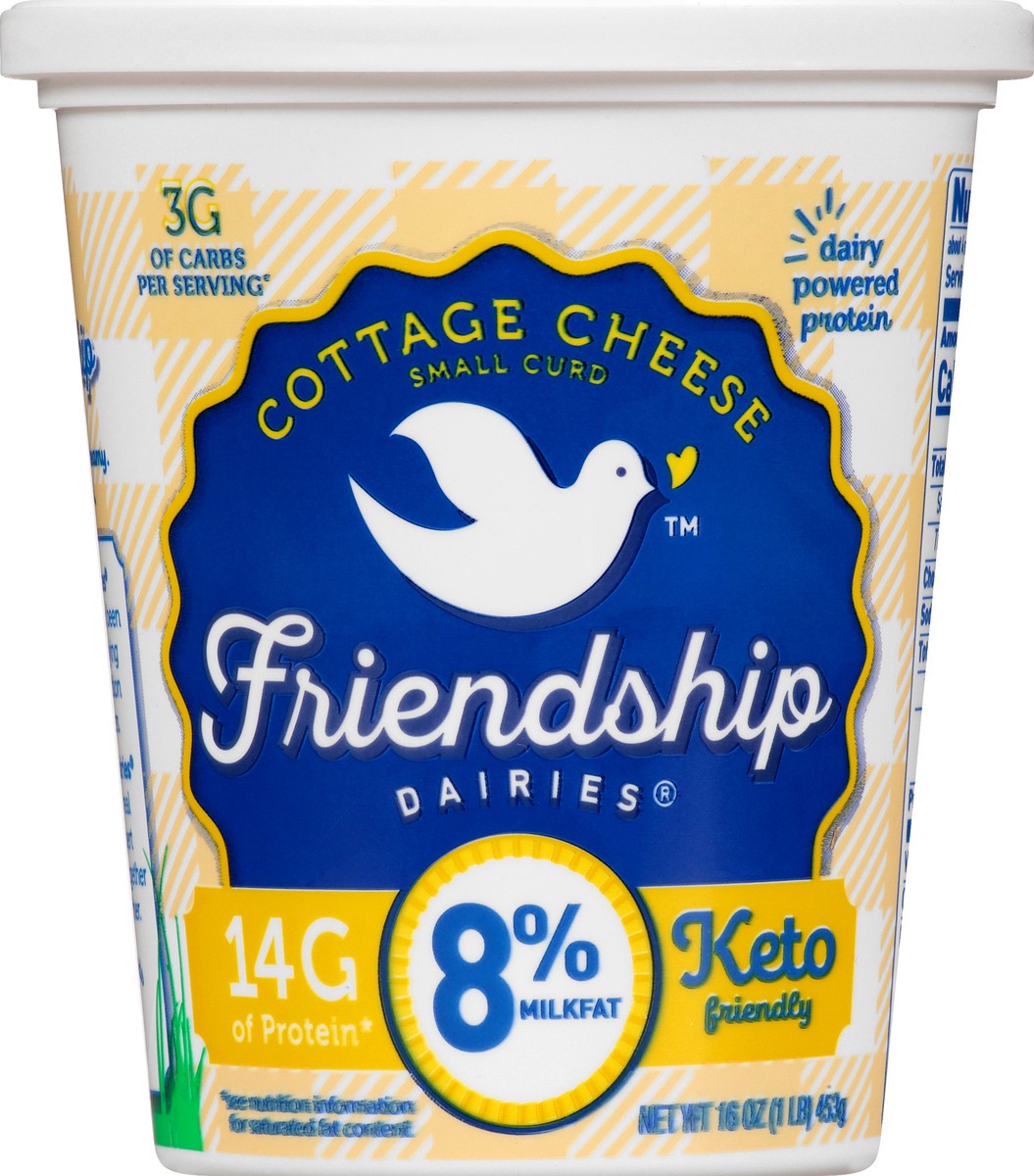 slide 9 of 10, Friendship Dairies Cottage Cheese, Small Curd, 8% Milkfat, 16 oz