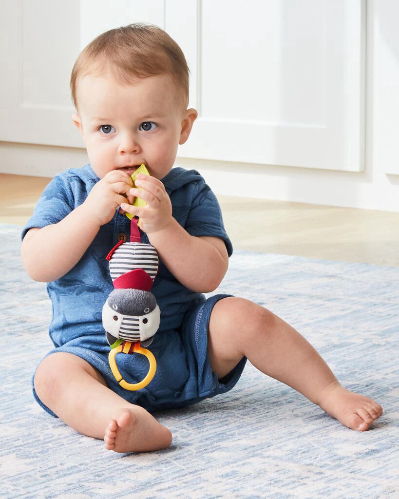 slide 2 of 7, Skip Hop SKIP*HOP Zebra Bandana Buddies Chime & Teether Toy, 1 ct