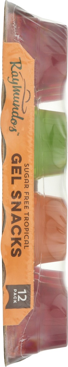 slide 5 of 13, Raymundo's Sugar-Free Tropical Gel Snacks 2.4 lb Pack, 2.40 lb