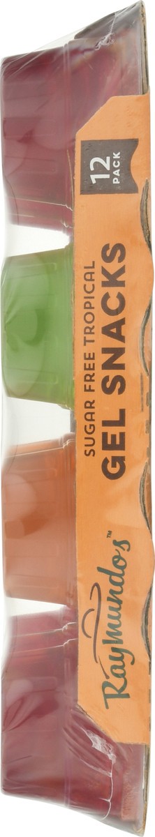 slide 8 of 13, Raymundo's Sugar-Free Tropical Gel Snacks 2.4 lb Pack, 2.40 lb